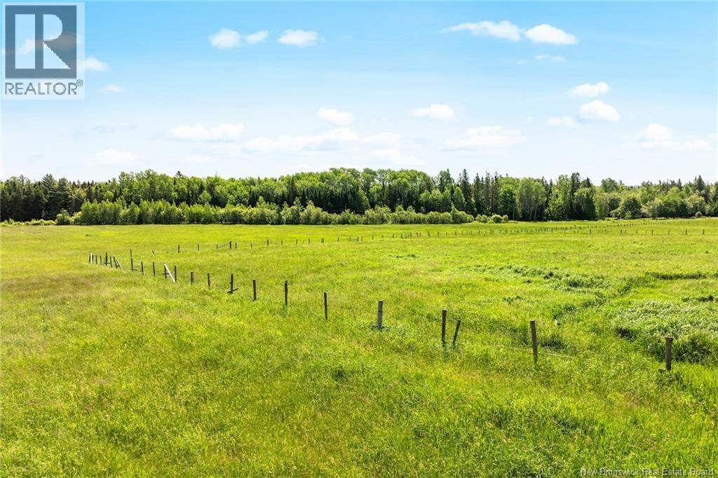240 Briggs Corner Road, Briggs Corner, New Brunswick E4A 1X3 - Photo 40 - NB138908