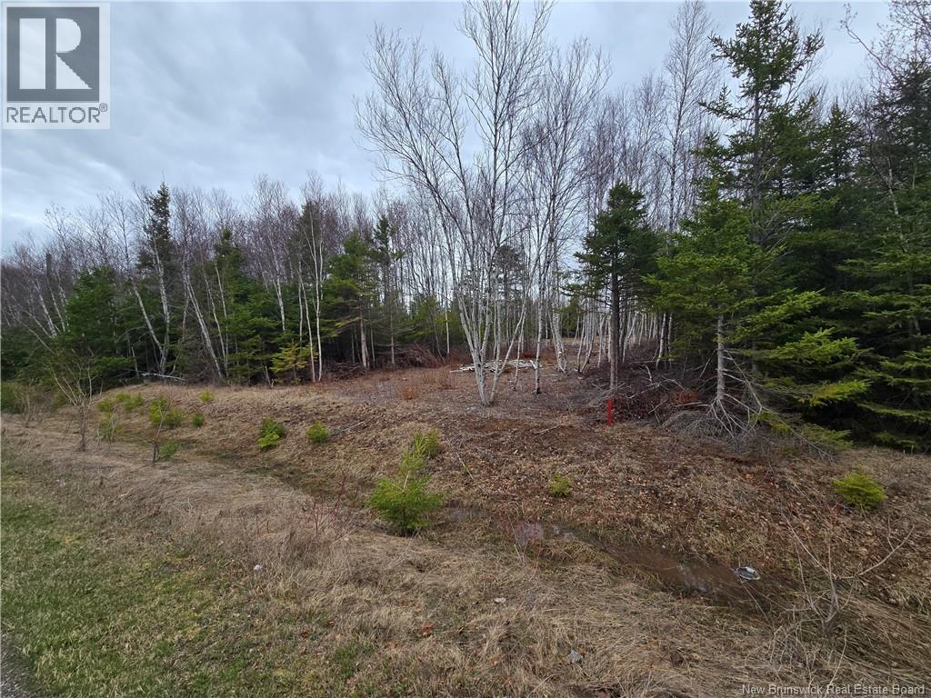 1.5 Acres Chemin Pierre-à-Miguel, Pokemouche, New Brunswick  E8P 0E3 - Photo 2 - NB139061