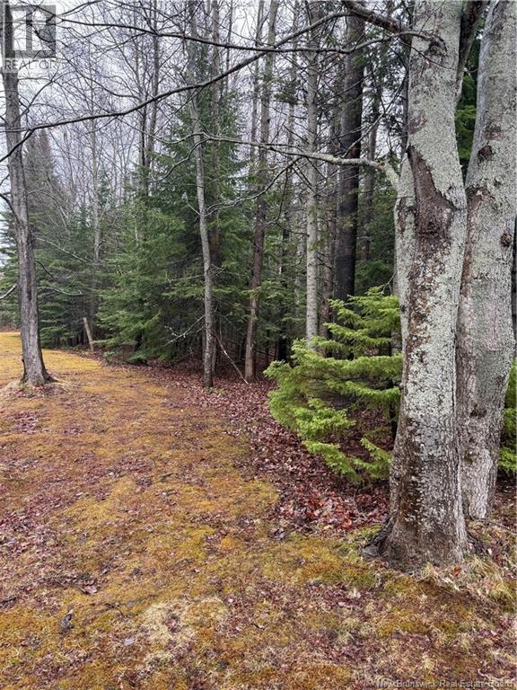 Lot 98-2 Dundas Road, Grande-Digue, New Brunswick E4R 4L5 - Photo 2 - NB139207