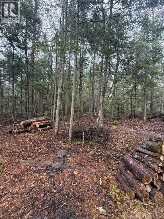 Lot 98-2 Dundas Road, Grande-Digue, New Brunswick E4R 4L5 - Photo 5 - NB139207