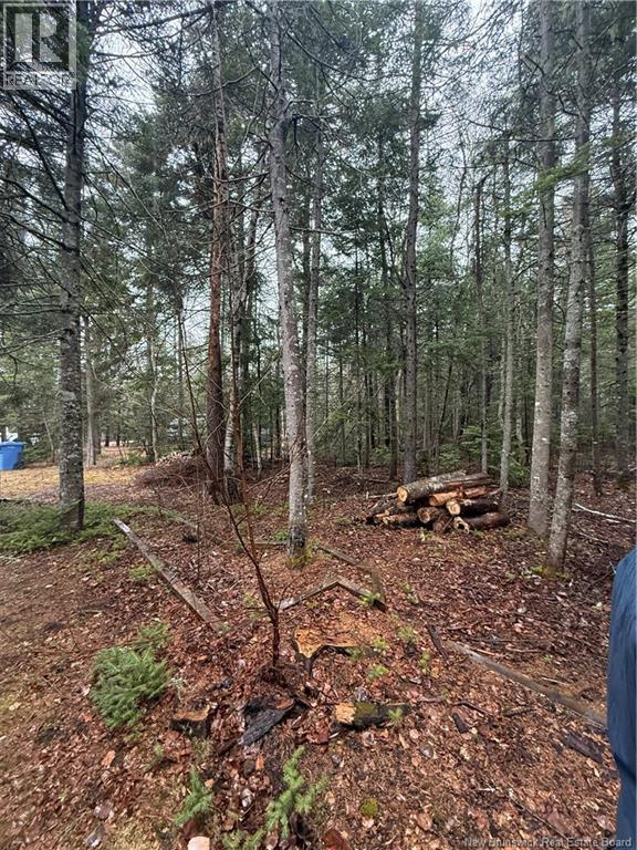 Lot 98-2 Dundas Road, Grande-Digue, New Brunswick E4R 4L5 - Photo 7 - NB139207