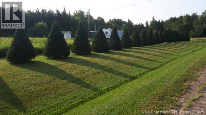Lot Angel Road, Saint-Ignace, New Brunswick  E4X 0B3 - Photo 15 - NB138781