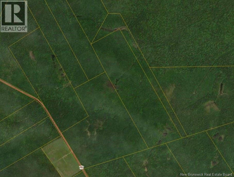 Lots Mclaughlin Road, Pine Ridge, New Brunswick  E4W 3S6 - Photo 10 - NB139761
