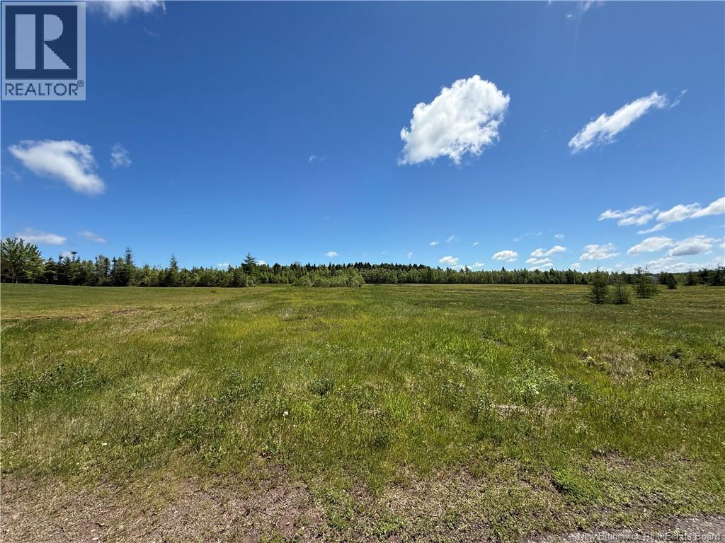 Lot 07-7 Windy Hill, Indian Mountain, New Brunswick  E1G 3B1 - Photo 3 - NB139841