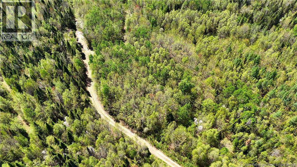 395 Route 630, Andersonville, New Brunswick E5A 1C8 - Photo 15 - NB139819