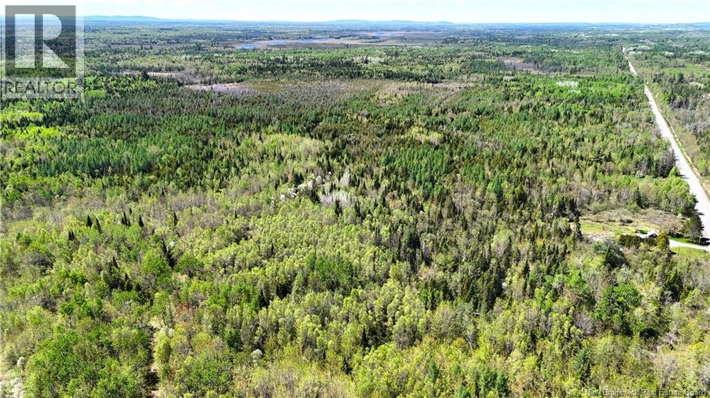 395 Route 630, Andersonville, New Brunswick E5A 1C8 - Photo 17 - NB139819