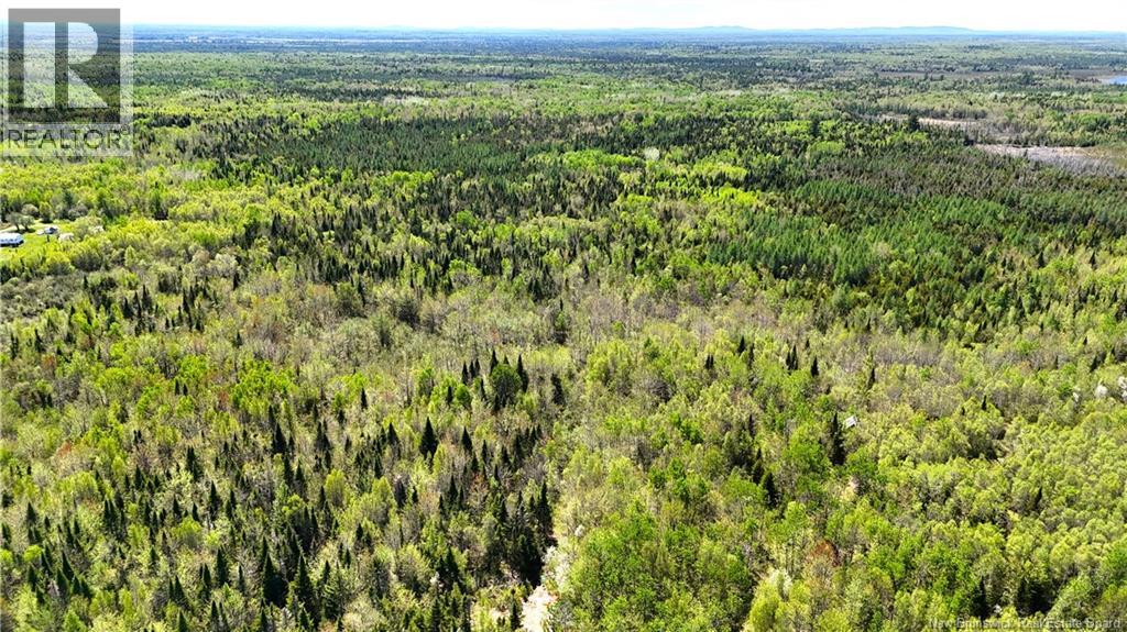 395 Route 630, Andersonville, New Brunswick E5A 1C8 - Photo 18 - NB139819