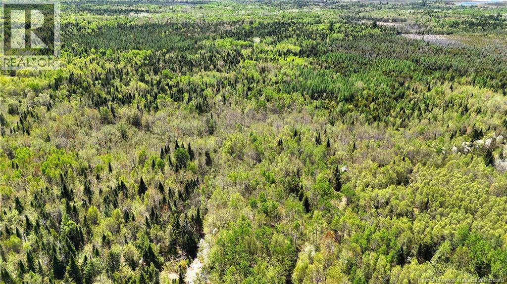 395 Route 630, Andersonville, New Brunswick E5A 1C8 - Photo 19 - NB139819