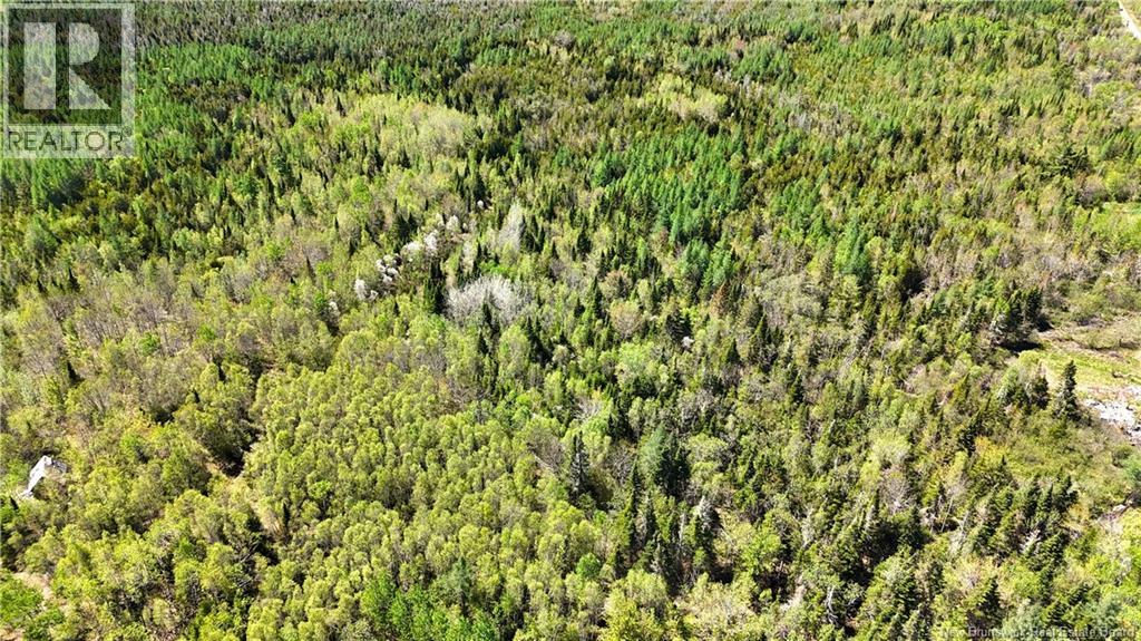 395 Route 630, Andersonville, New Brunswick E5A 1C8 - Photo 20 - NB139819