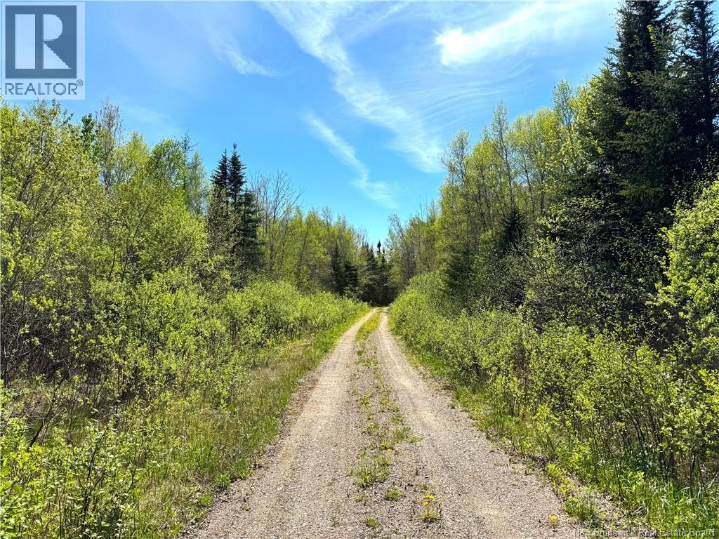 395 Route 630, Andersonville, New Brunswick E5A 1C8 - Photo 4 - NB139819
