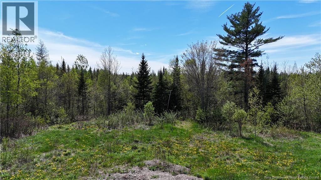 395 Route 630, Andersonville, New Brunswick E5A 1C8 - Photo 6 - NB139819