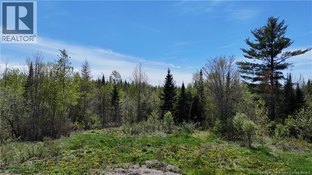 395 Route 630, Andersonville, New Brunswick E5A 1C8 - Photo 8 - NB139819