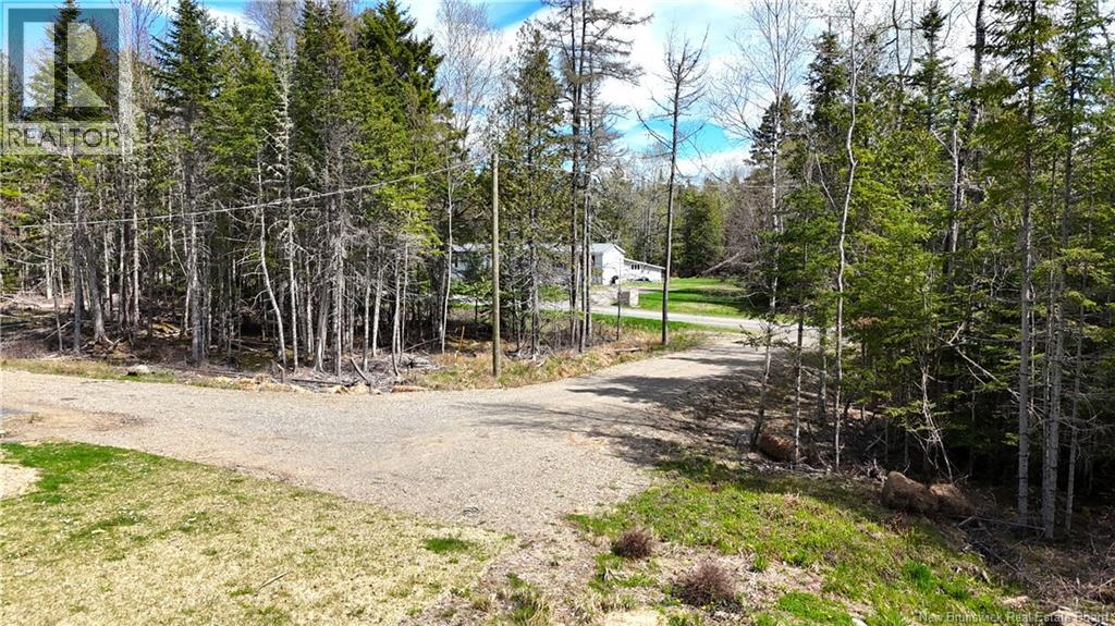 39 L Harkness Road, Chamcook, New Brunswick E5B 3E7 - Photo 31 - NB139900