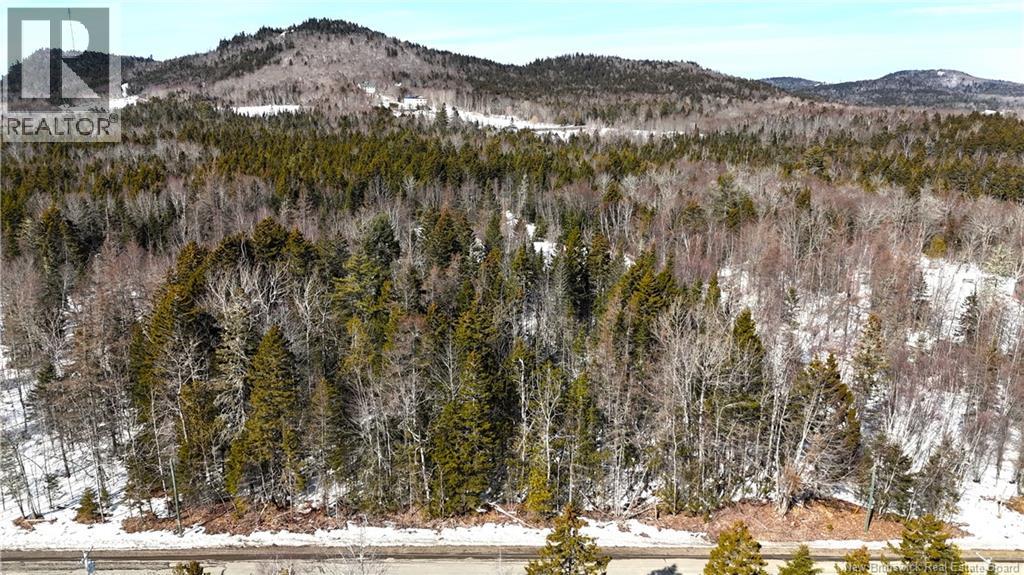 39 L Harkness Road, Chamcook, New Brunswick E5B 3E7 - Photo 37 - NB139900