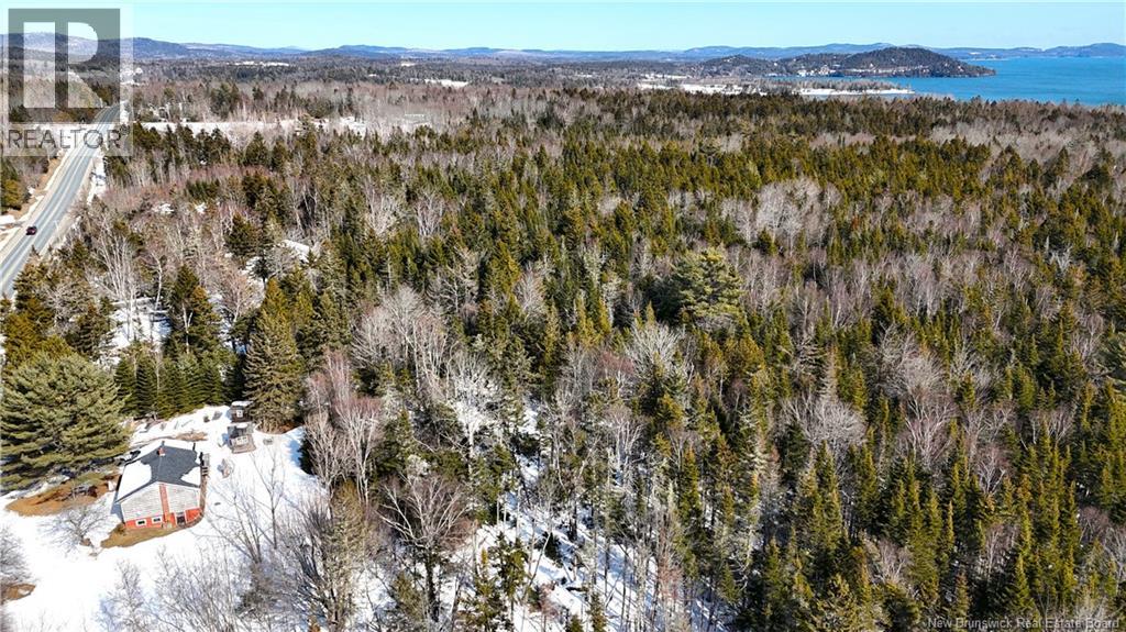 39 L Harkness Road, Chamcook, New Brunswick E5B 3E7 - Photo 41 - NB139900