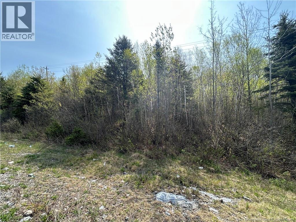 Golden Grove Mountain, Rothesay, New Brunswick E2H 2X1 - Photo 1 - NB139833