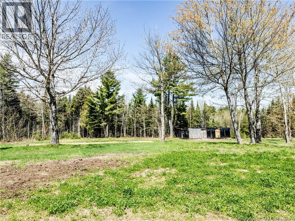 900 Saint-Charles Nord, Saint-Charles, New Brunswick  E4W 4T3 - Photo 6 - NB139639