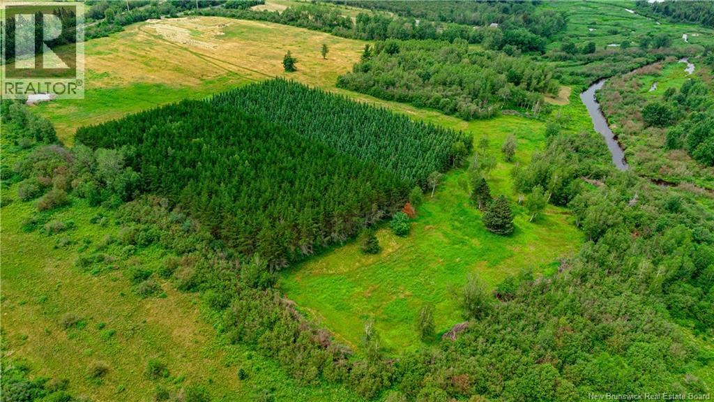 320 Red Bank Road, Chipman, New Brunswick E4A 2B1 - Photo 8 - NB140385
