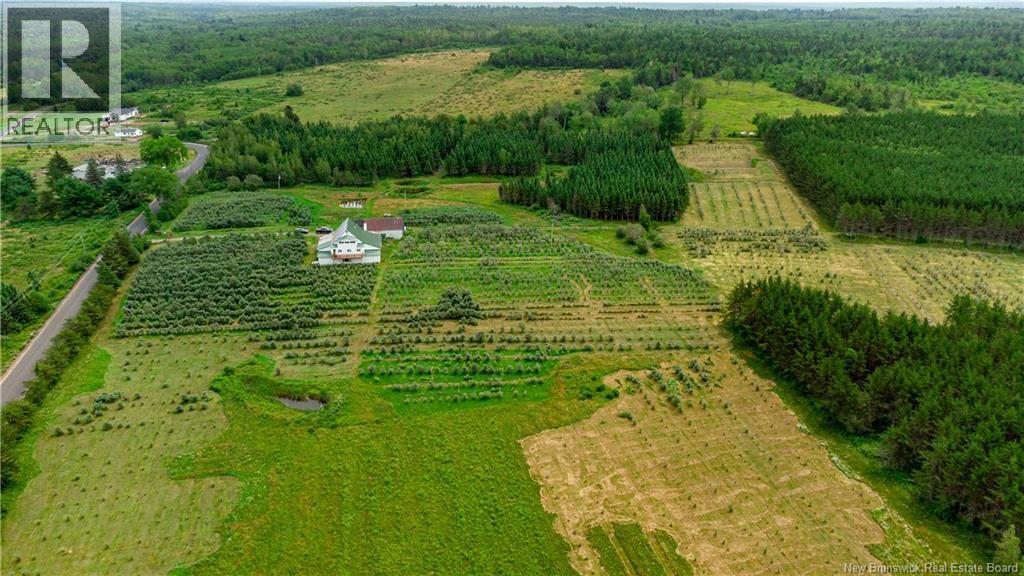 320 Red Bank Road, Chipman, New Brunswick E4A 2B1 - Photo 9 - NB140385