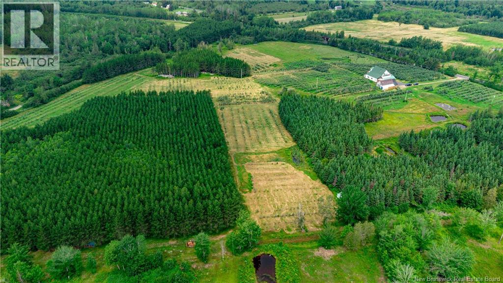 320 Red Bank Road, Chipman, New Brunswick  E4A 2B1 - Photo 4 - NB140384