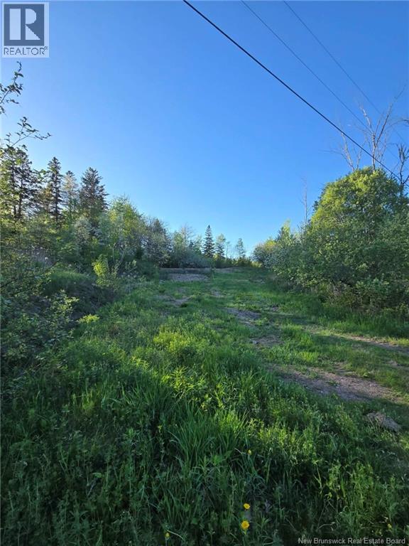 328 Drurys Cove Road, Drurys Cove, New Brunswick  E4E 3L6 - Photo 27 - NB139696