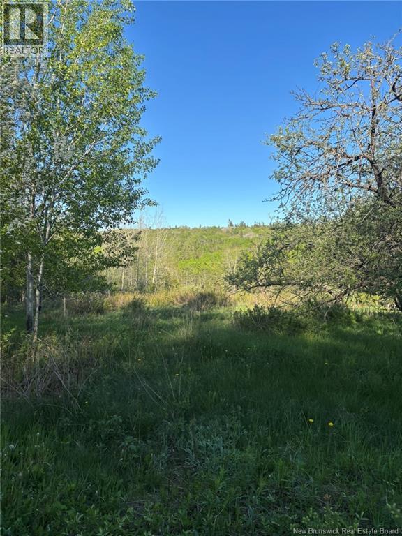 328 Drurys Cove Road, Drurys Cove, New Brunswick  E4E 3L6 - Photo 36 - NB139696