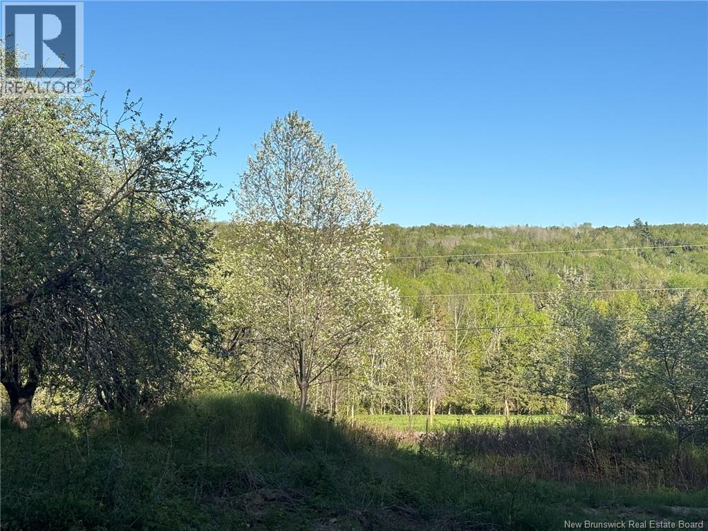 328 Drurys Cove Road, Drurys Cove, New Brunswick  E4E 3L6 - Photo 40 - NB139696