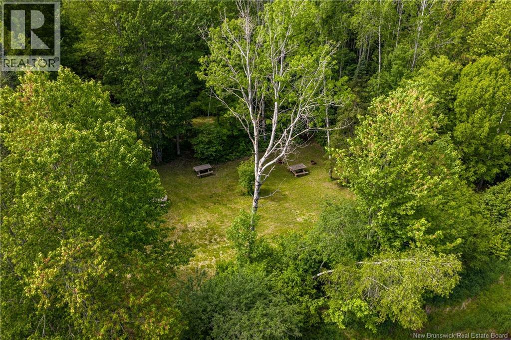 423 Salisbury Back Road, Salisbury, New Brunswick E4J 1K3 - Photo 40 - NB140434