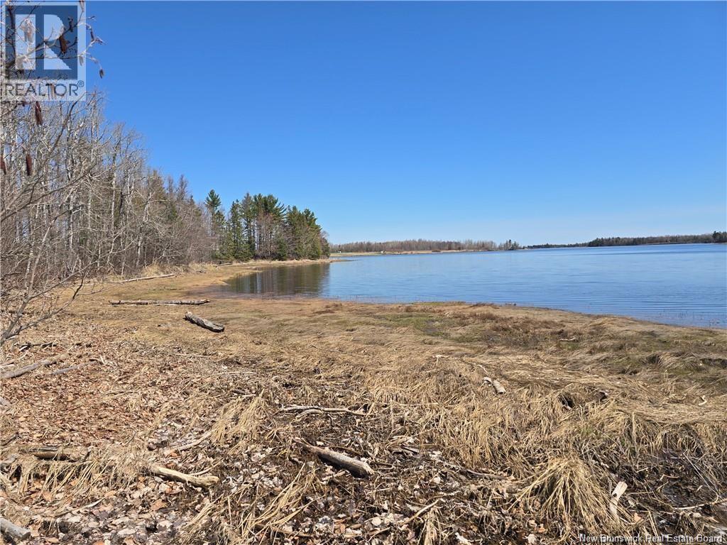 Acreage North Black River Road, Black River Bridge, New Brunswick  E1N 5T3 - Photo 10 - NB140558