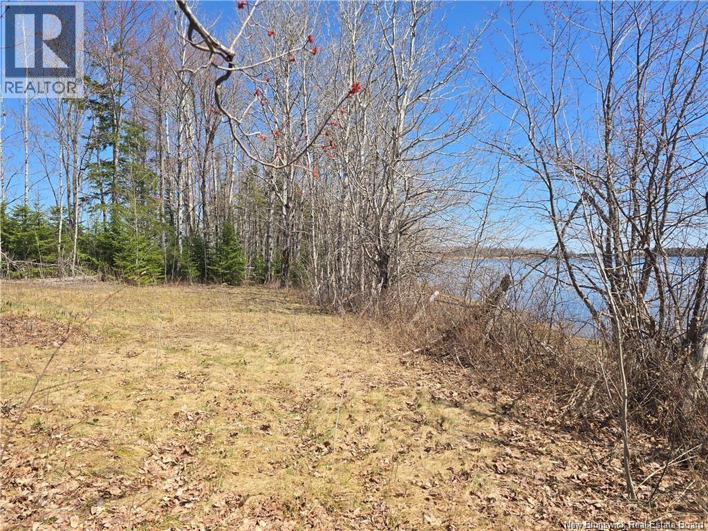 Acreage North Black River Road, Black River Bridge, New Brunswick  E1N 5T3 - Photo 11 - NB140558
