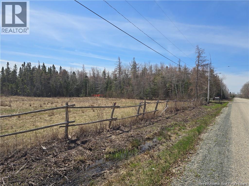 Acreage North Black River Road, Black River Bridge, New Brunswick  E1N 5T3 - Photo 13 - NB140558