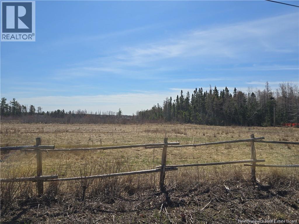Acreage North Black River Road, Black River Bridge, New Brunswick  E1N 5T3 - Photo 14 - NB140558