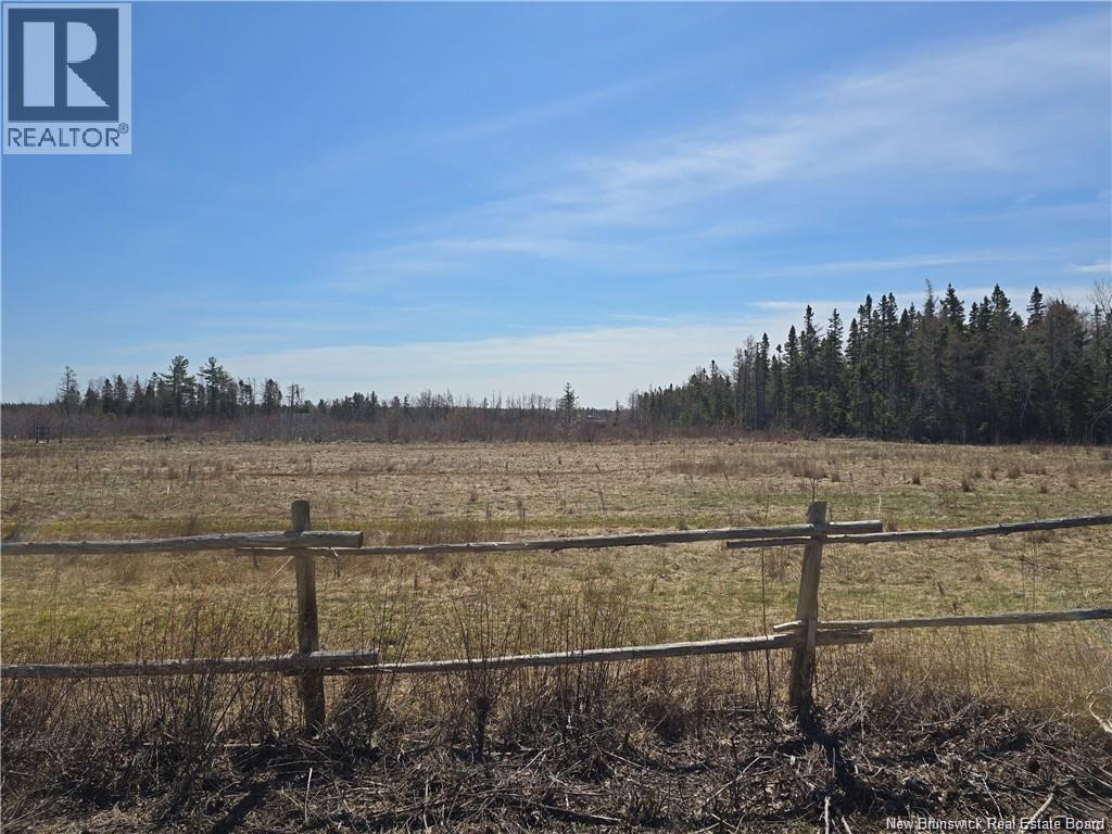 Acreage North Black River Road, Black River Bridge, New Brunswick  E1N 5T3 - Photo 15 - NB140558
