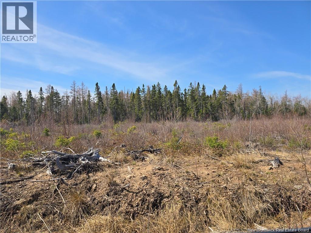 Acreage North Black River Road, Black River Bridge, New Brunswick  E1N 5T3 - Photo 17 - NB140558