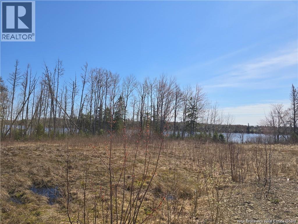 Acreage North Black River Road, Black River Bridge, New Brunswick  E1N 5T3 - Photo 23 - NB140558