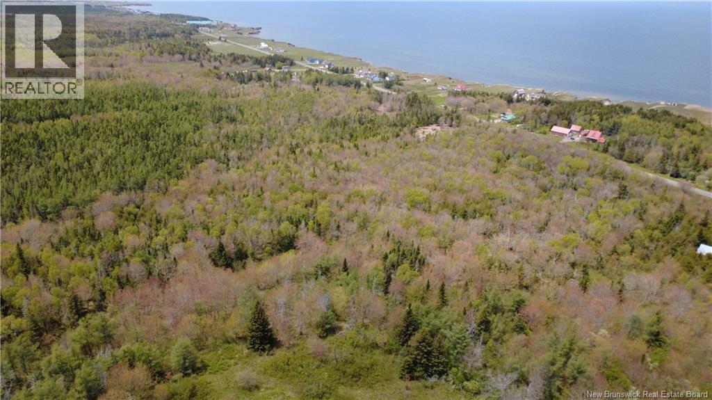 393 Route 320, Anse-Bleue, New Brunswick  E8N 2B9 - Photo 16 - NB140656