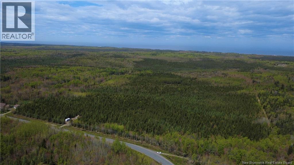 393 Route 320, Anse-Bleue, New Brunswick  E8N 2B9 - Photo 4 - NB140656