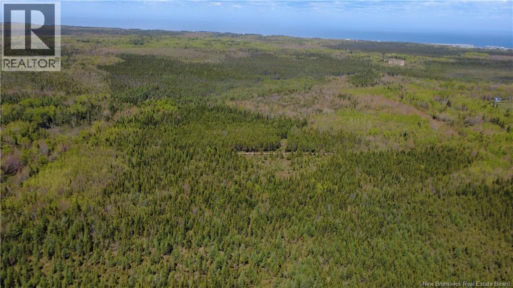393 Route 320, Anse-Bleue, New Brunswick  E8N 2B9 - Photo 6 - NB140656