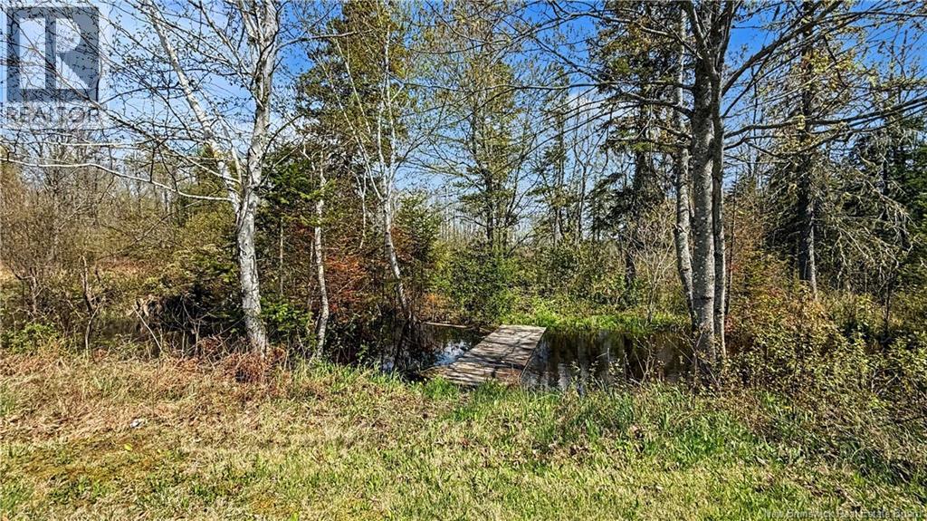 80 Saint Pierre, Rogersville, New Brunswick  E4Y 1L5 - Photo 31 - NB139912