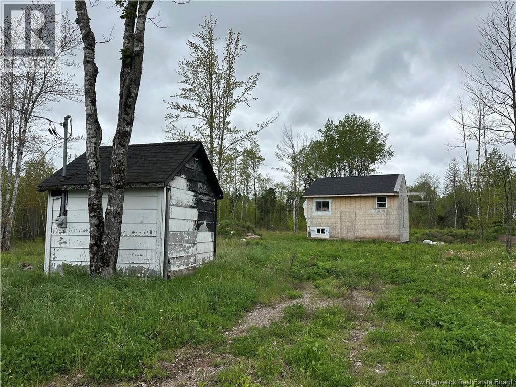 117 Alward Road, Havelock, New Brunswick  E4Z 5B3 - Photo 6 - NB140709