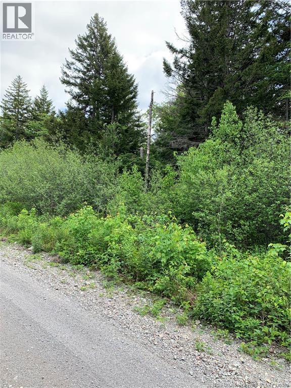 Lot 15-B Burchills Flats, St. Martins, New Brunswick E5R 1V2 - Photo 10 - NB140631