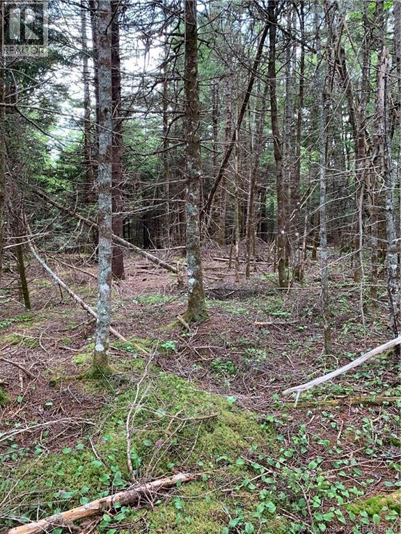 Lot 15-B Burchills Flats, St. Martins, New Brunswick E5R 1V2 - Photo 5 - NB140631