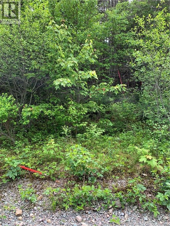 Lot 15-B Burchills Flats, St. Martins, New Brunswick E5R 1V2 - Photo 7 - NB140631