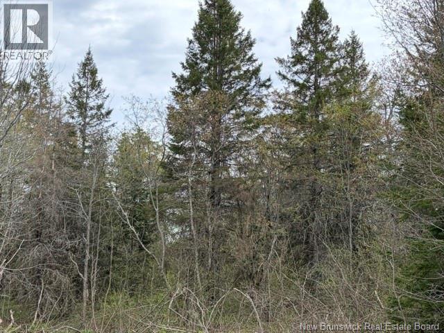 Woodlot Silvertown Road, Grangeville, New Brunswick  E4T 2C8 - Photo 7 - NB140874