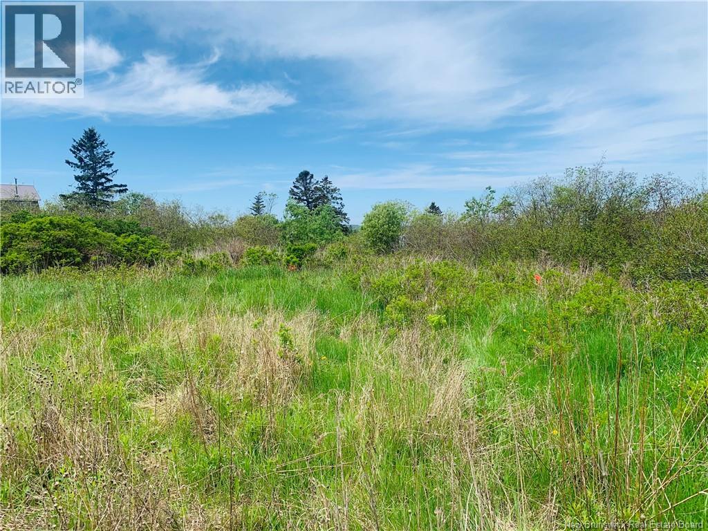 183 Narrows Road, Welshpool, New Brunswick E5E 1T4 - Photo 9 - NB141028