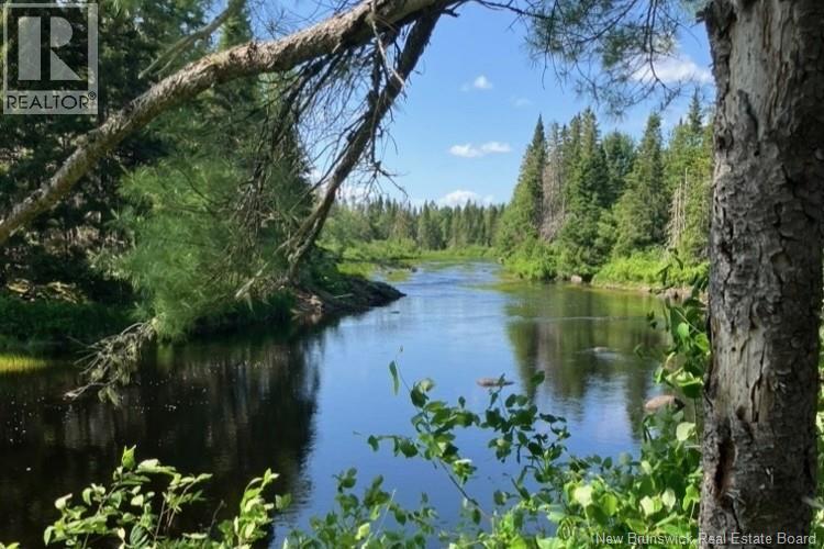 0 Digdeguash River, Rollingdam, New Brunswick E5A 2K5 - Photo 5 - NB141168