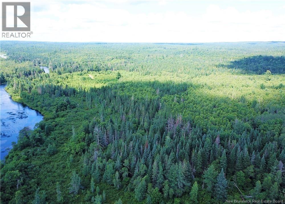 0 Digdeguash River, Rollingdam, New Brunswick E5A 2K5 - Photo 6 - NB141168