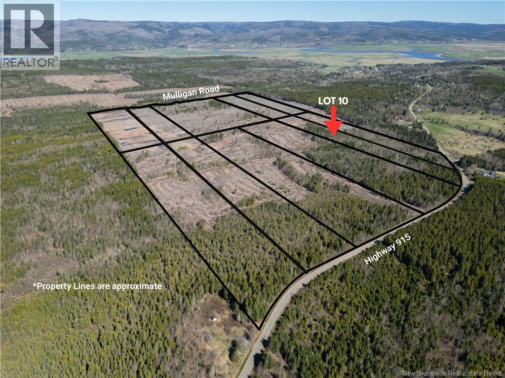 Lot 10 Route 915, Upper New Horton, New Brunswick  E4H 3T4 - Photo 5 - NB141527