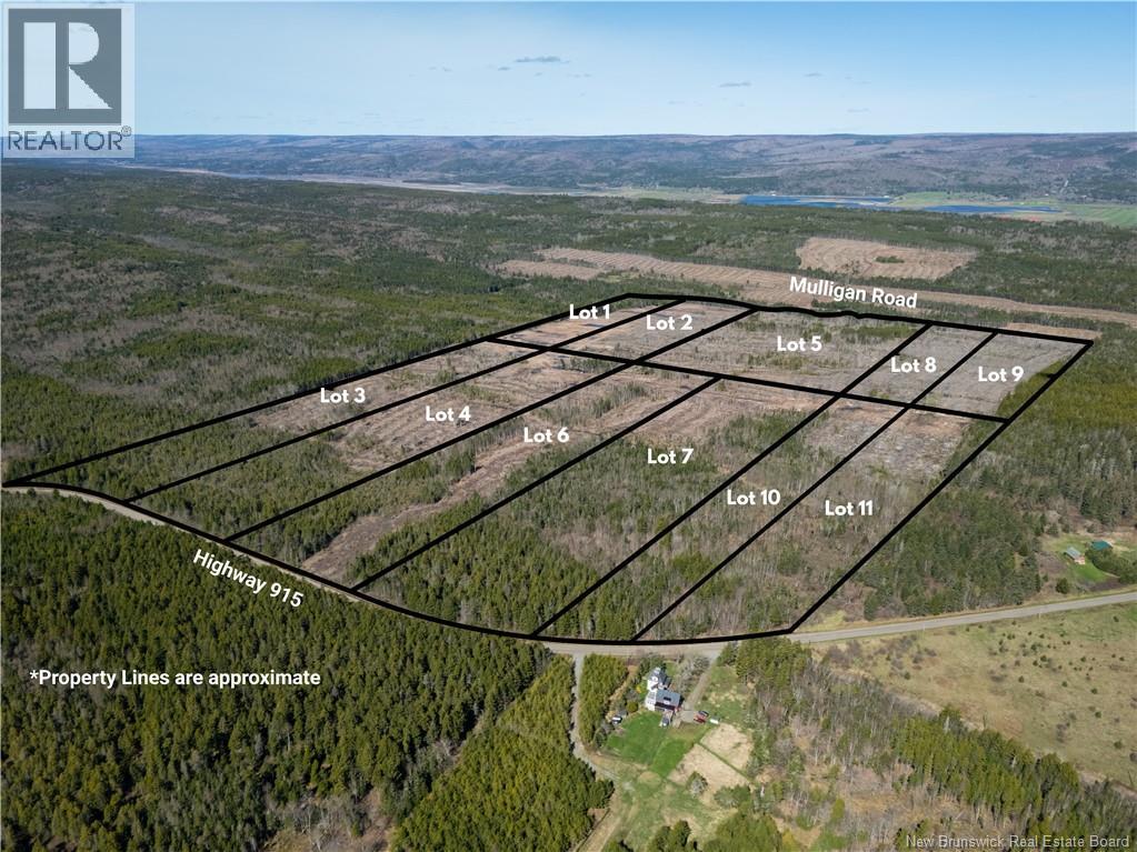 Lot 7 Route 915, Upper New Horton, New Brunswick E4H 3T4 - Photo 12 - NB141535