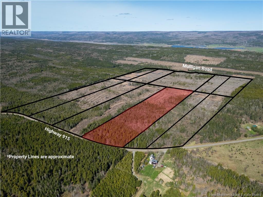 Lot 7 Route 915, Upper New Horton, New Brunswick E4H 3T4 - Photo 8 - NB141535